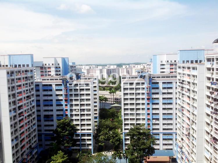 Blk 791 Choa Chu Kang North 6 (Choa Chu Kang), HDB 5 Rooms #99961992